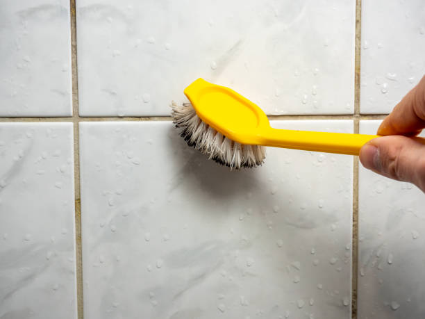 Best Post-Flood Mold Remediation in Tuscola, IL