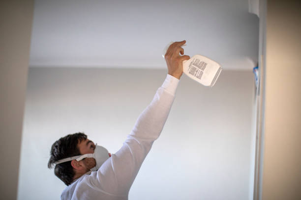 Best Insurance-Related Mold Remediation in Tuscola, IL