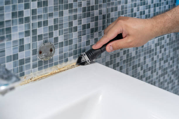 Best Mold Remediation for Specific Building Types in Tuscola, IL