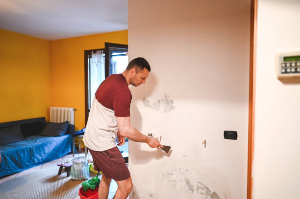 Best Residential Mold Remediation in Tuscola, IL